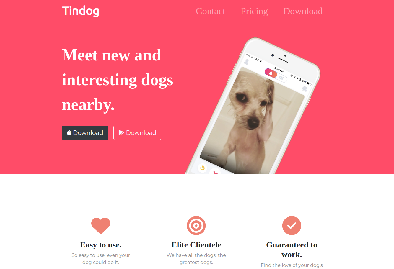 tindog-photo